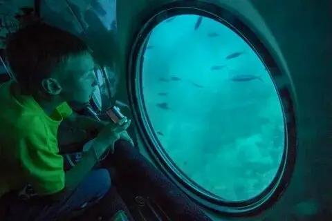 Hurghada Grand Aquarium Tickets & Tour – Family Fun Day Out